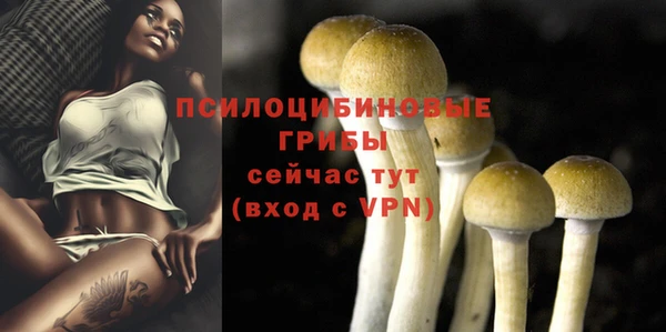 герыч Богданович