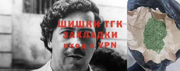 мдпв Верхний Тагил